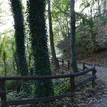 3 Flat In A Tuscany Valley 公寓